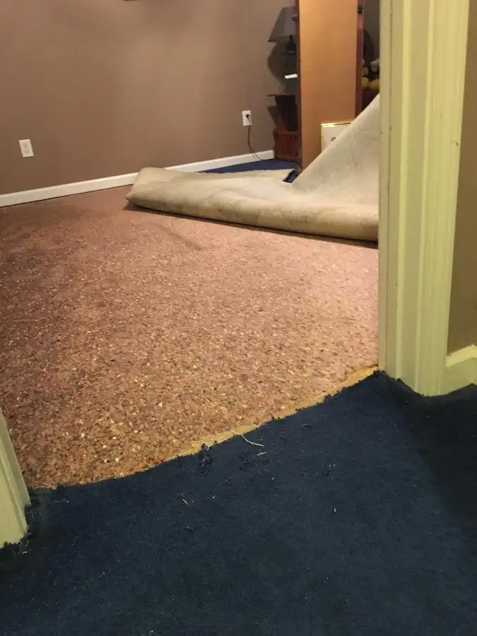 Carpet pad removal revealing water damage during Drying & Dehumidification in Oak Forest